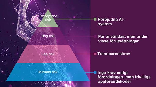 risk risk